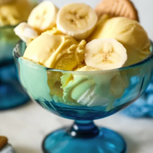 Delicious Vegan Ninja Creami ice creams and sorbets made with plant-based ingredients.